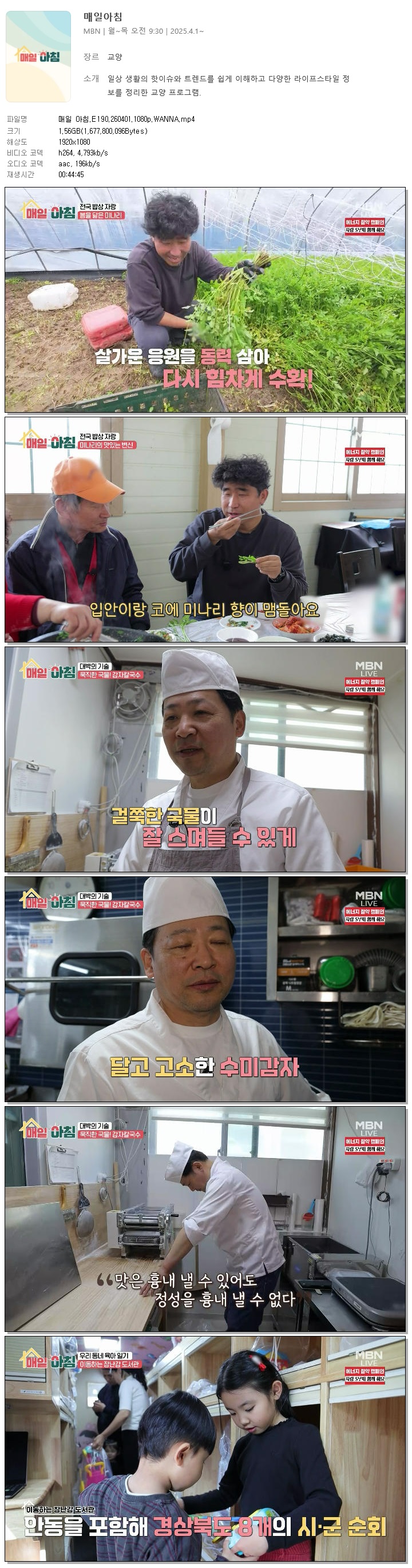 매일 아침.E190.260401.1080p.WANNA