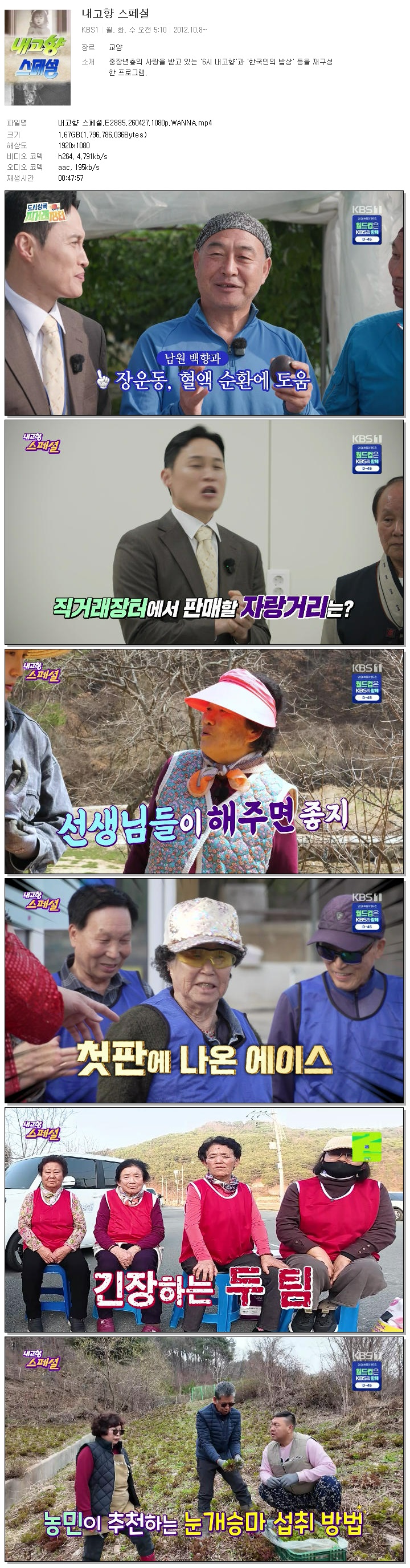 내고향 스페셜.E2885.260427.1080p.WANNA