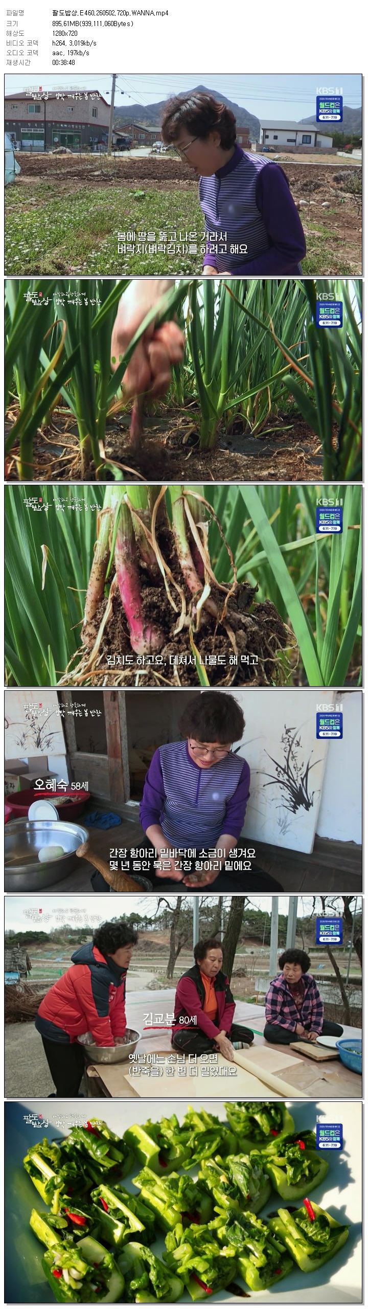 팔도밥상.E460.260502.720p.WANNA