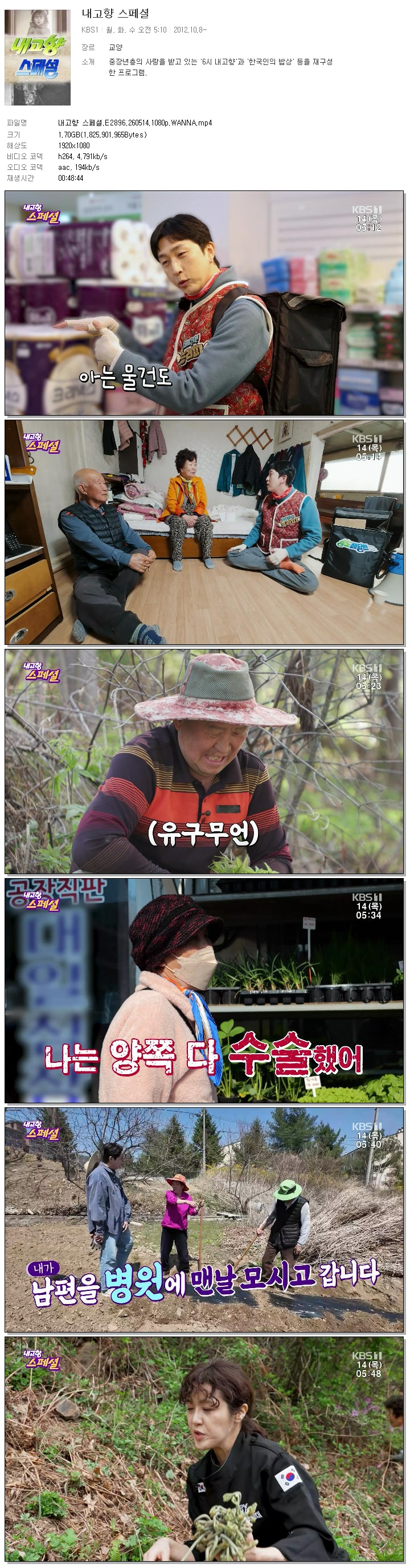 내고향 스페셜.E2896.260514.1080p.WANNA