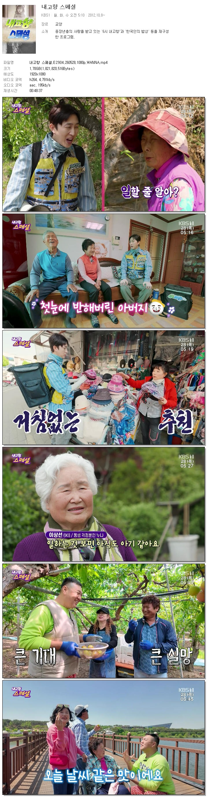 내고향 스페셜.E2904.260528.1080p.WANNA