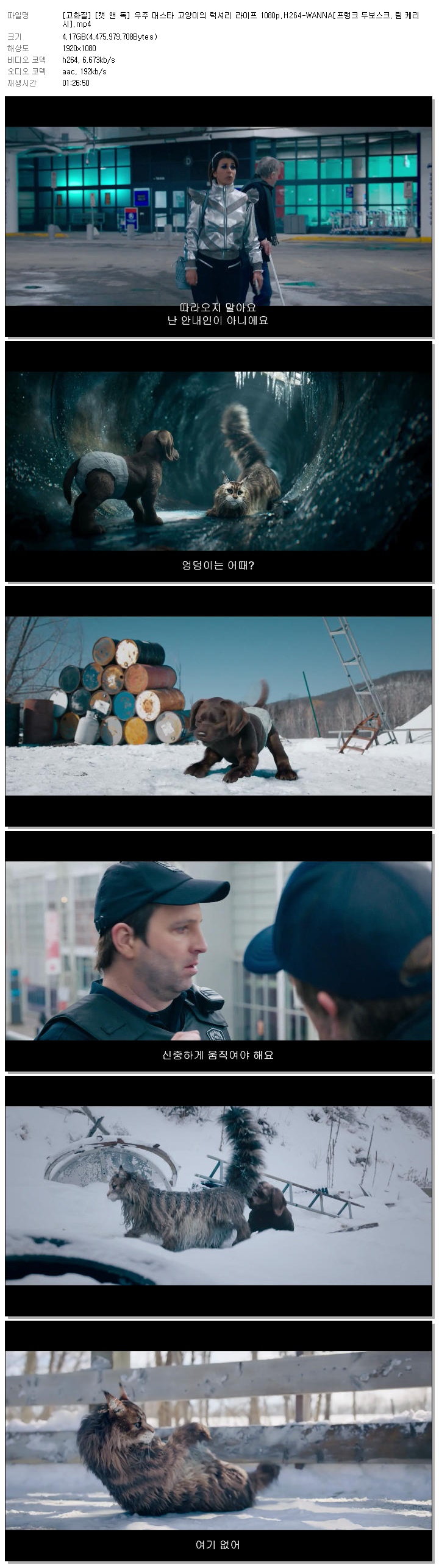 [고화질] [캣 앤 독] 우주 대스타 고양이의 럭셔리 라이프 1080p.H264-WANNA[프랭크 두보스크, 림 케리시]