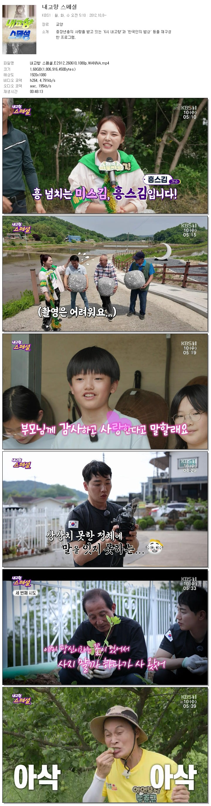 내고향 스페셜.E2912.260610.1080p.WANNA