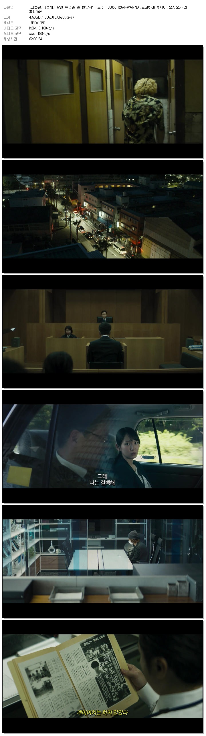 [고화질] [정체] 살인 누명을 쓴 한남자의 도주 1080p.H264-WANNA[요코하마 류세이, 요시오카 리호]
