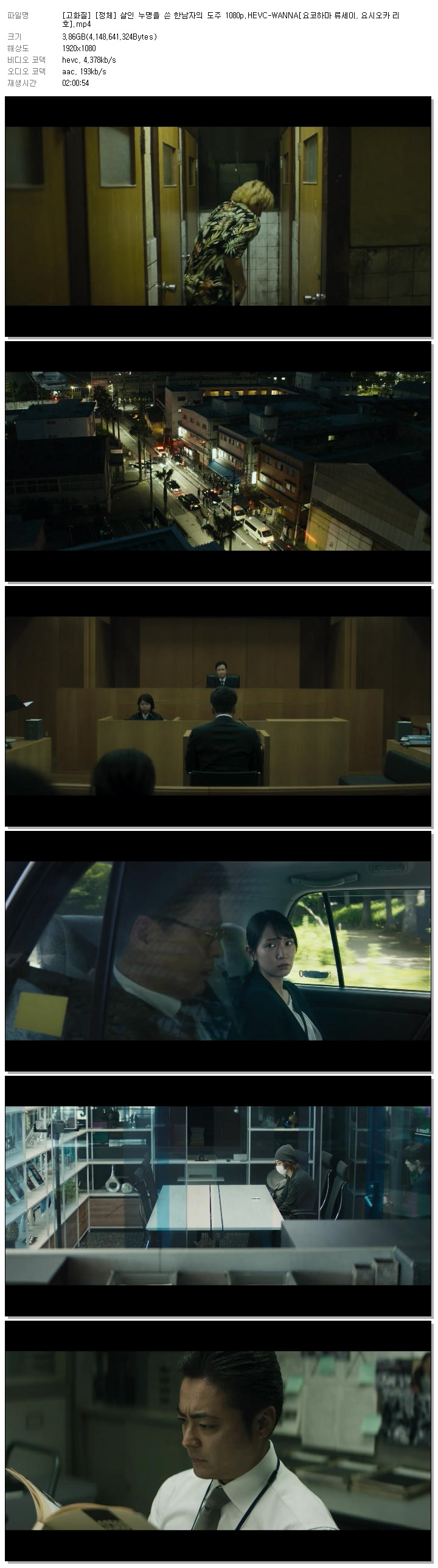 [고화질] [정체] 살인 누명을 쓴 한남자의 도주 1080p.HEVC-WANNA[요코하마 류세이, 요시오카 리호]