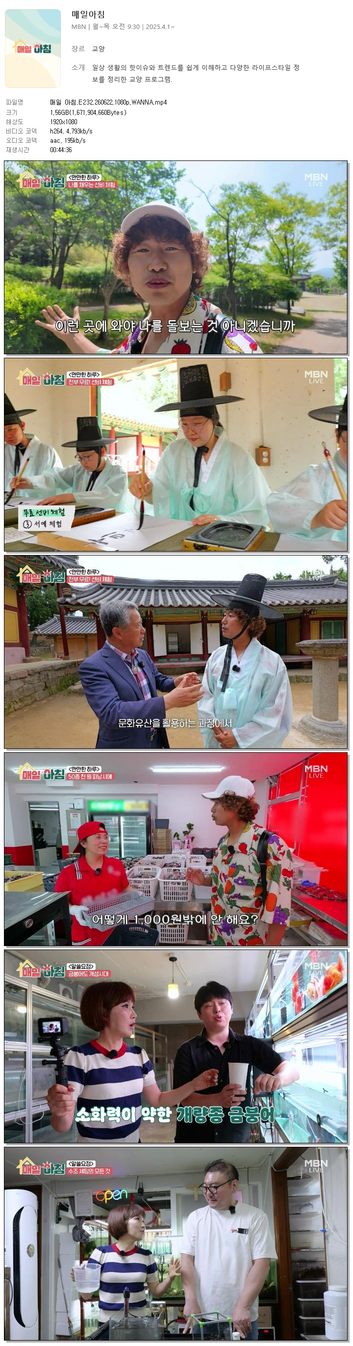매일 아침.E232.260622.1080p.WANNA