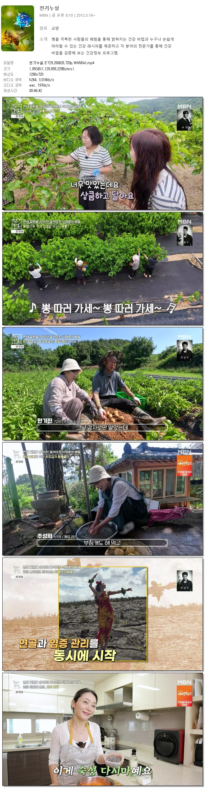 천기누설.E729.260626.720p.WANNA
