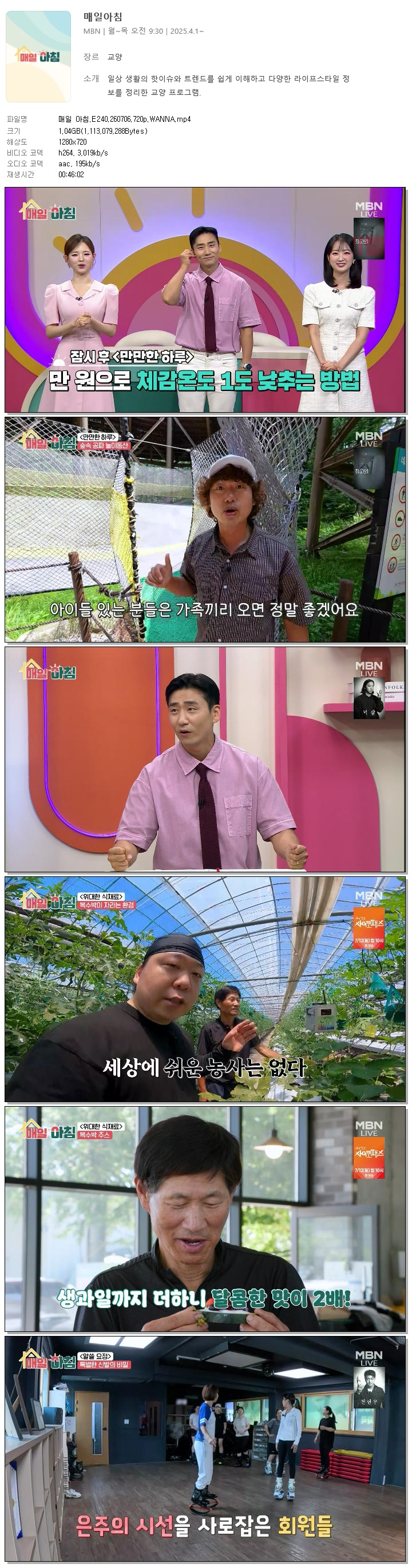 매일 아침.E240.260706.720p.WANNA