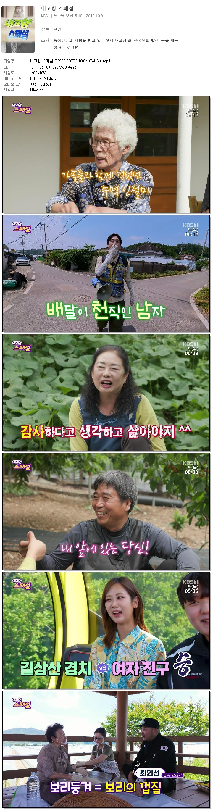 내고향 스페셜.E2929.260709.1080p.WANNA