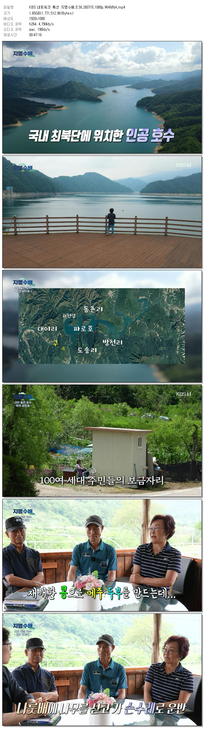 KBS 네트워크 특선 지명수배.E36.260715.1080p.WANNA