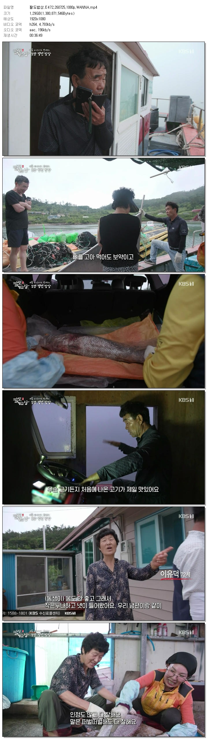 팔도밥상.E472.260725.1080p.WANNA