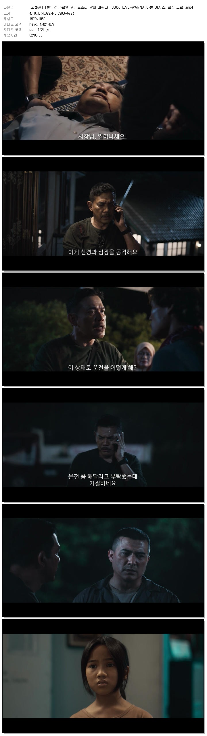 [고화질] [반두안 카르텔 워] 모조리 쓸어 버린다 1080p.HEVC-WANNA[아론 아지즈, 로샴 노르]