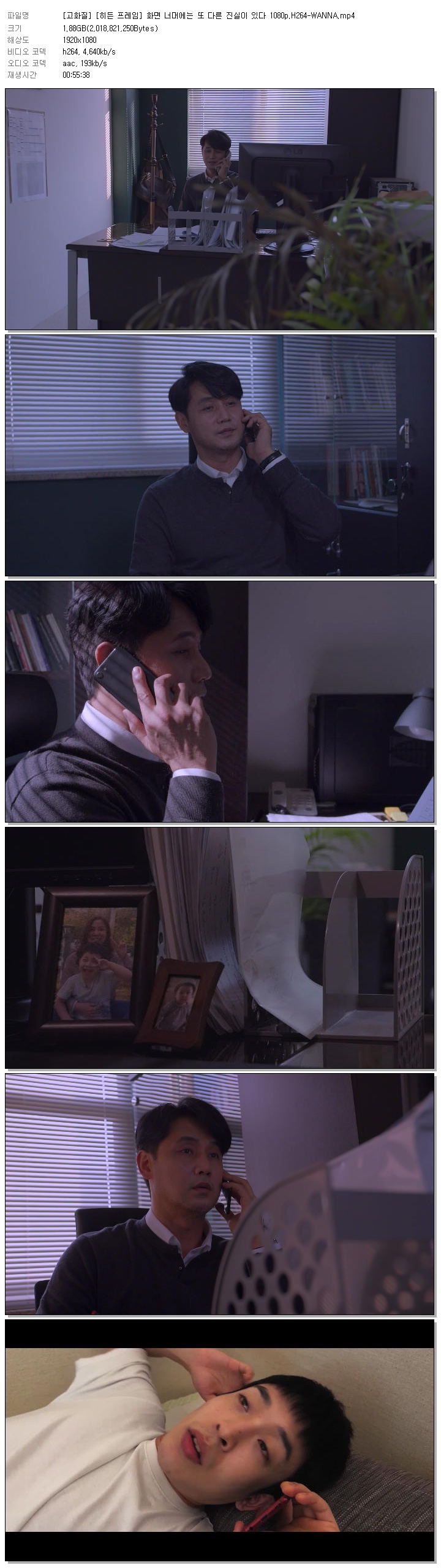 [고화질] [히든 프레임] 화면 너머에는 또 다른 진실이 있다 1080p.H264-WANNA