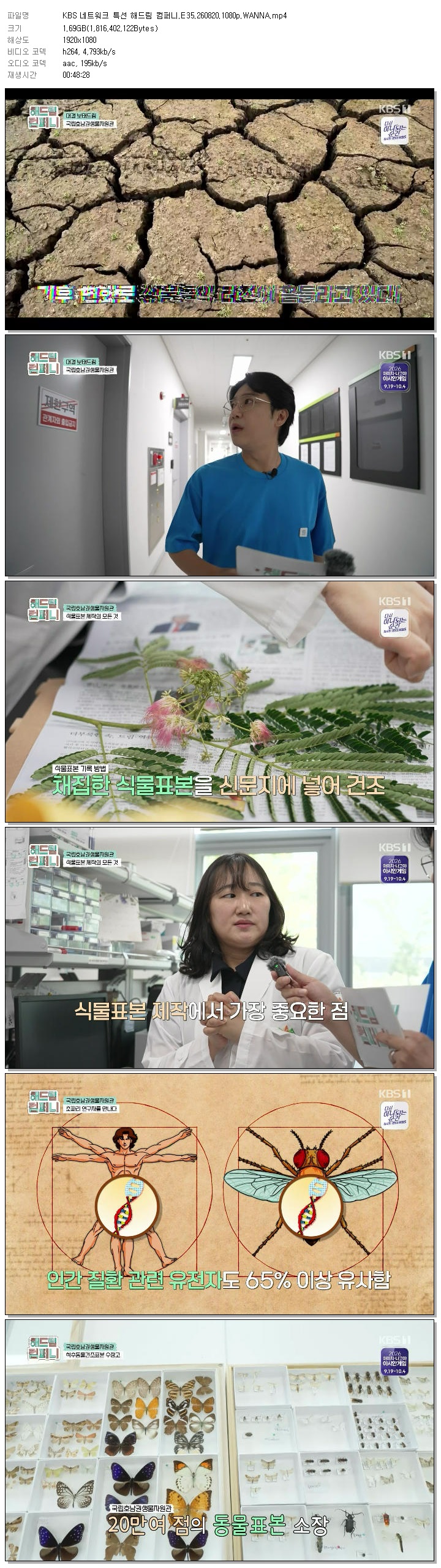 KBS 네트워크 특선 해드림 컴퍼니.E35.260820.1080p.WANNA