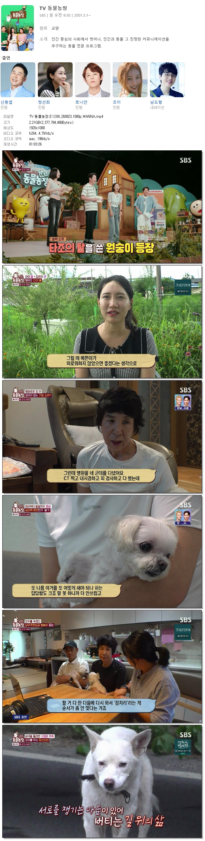 TV 동물농장.E1286.260823.1080p.WANNA