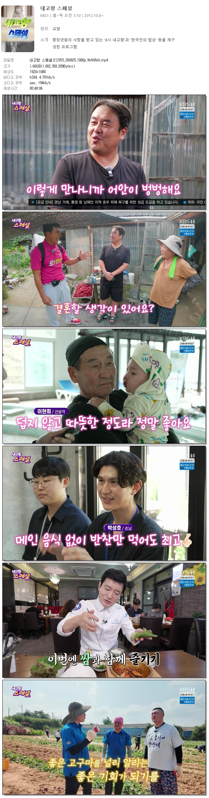 내고향 스페셜.E2955.260825.1080p.WANNA