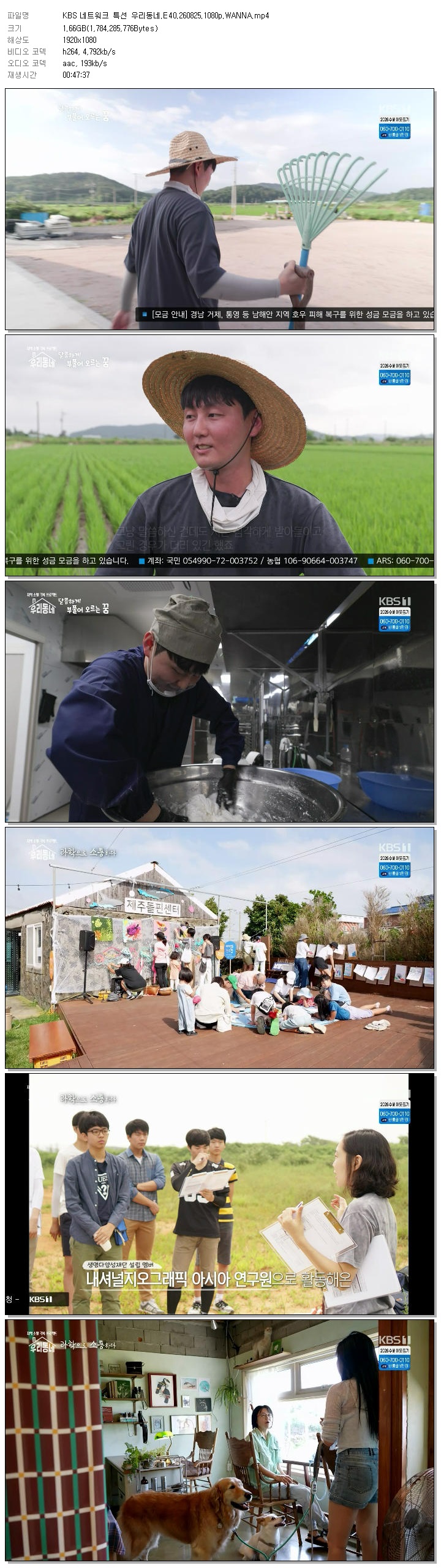 KBS 네트워크 특선 우리동네.E40.260825.1080p.WANNA
