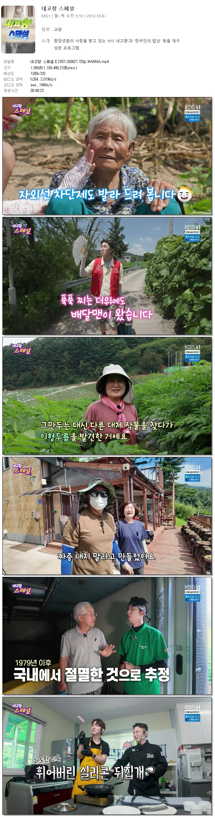 내고향 스페셜.E2957.260827.720p.WANNA