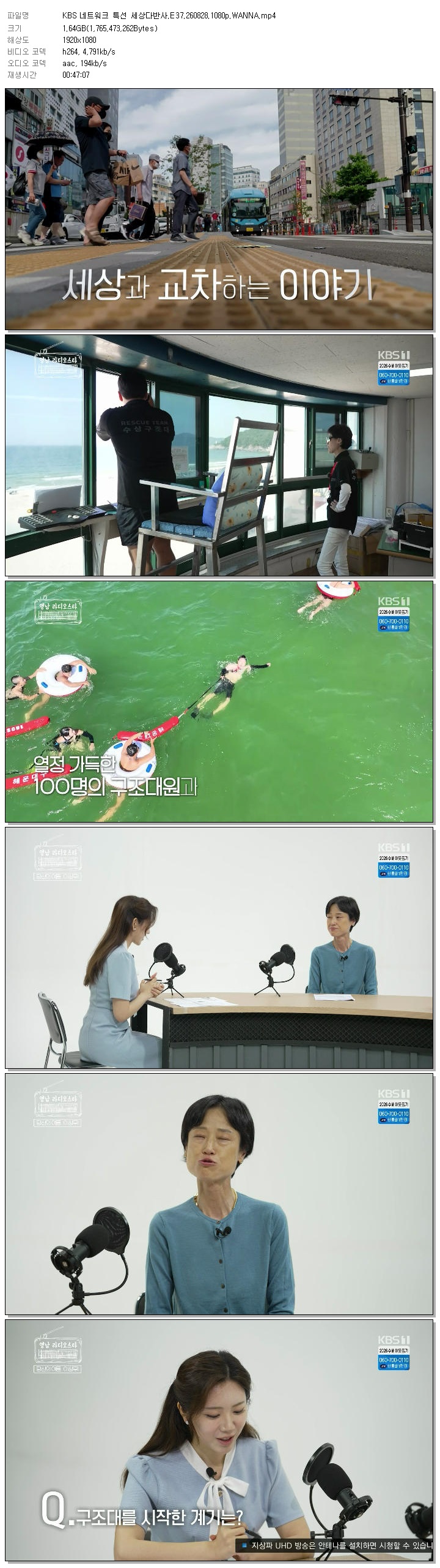 KBS 네트워크 특선 세상다반사.E37.260828.1080p.WANNA