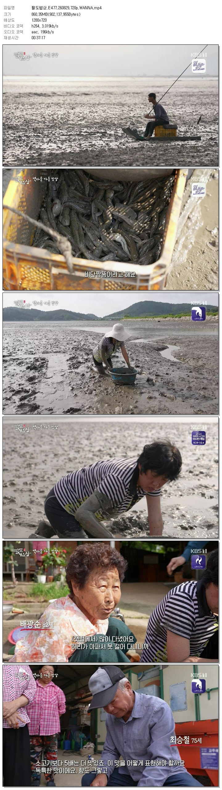 팔도밥상.E477.260829.720p.WANNA