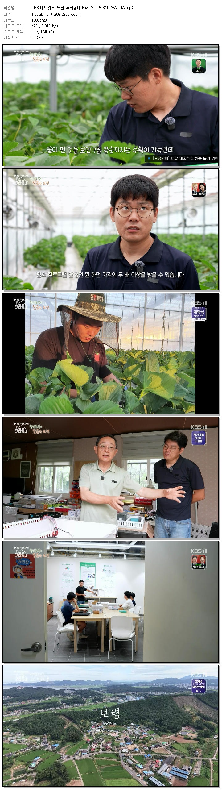 KBS 네트워크 특선 우리동네.E43.260915.720p.WANNA
