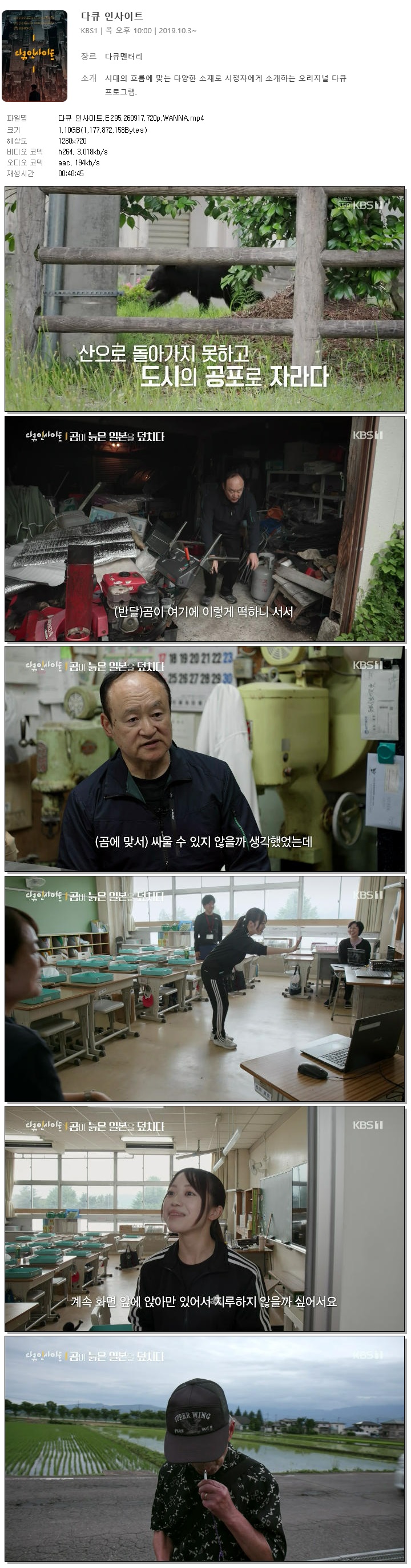 다큐 인사이트.E295.260917.720p.WANNA