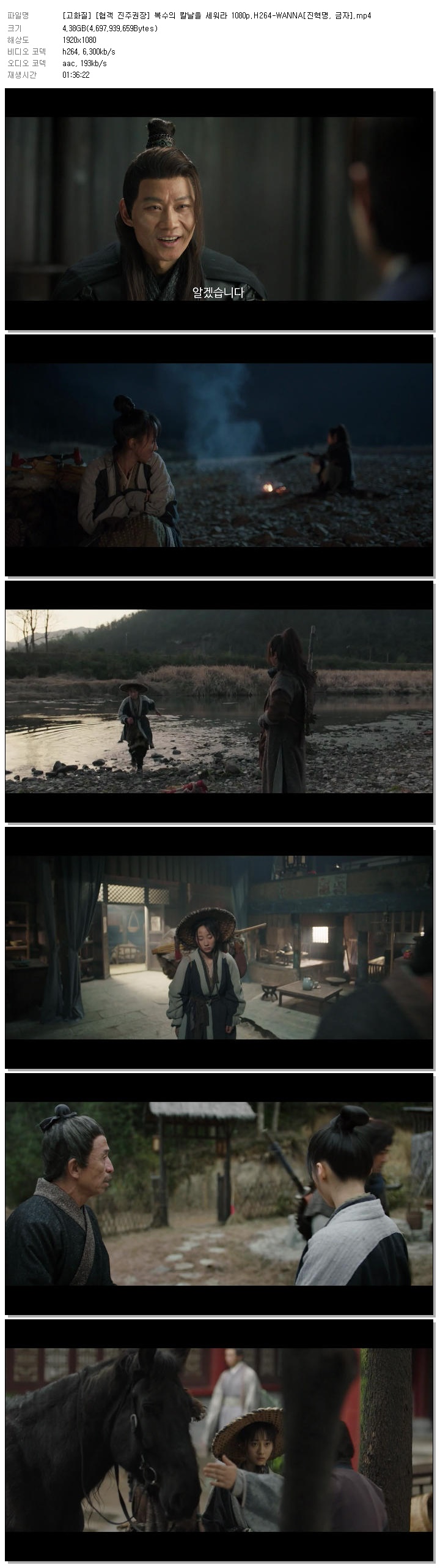 [고화질] [협객 진주권장] 복수의 칼날을 세워라 1080p.H264-WANNA[진혁명, 금자]