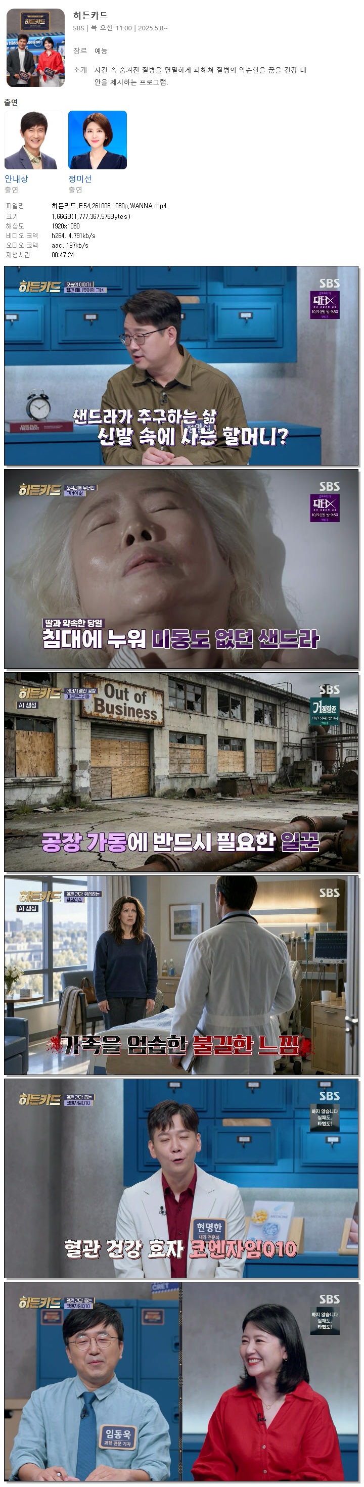 히든카드.E54.261006.1080p.WANNA