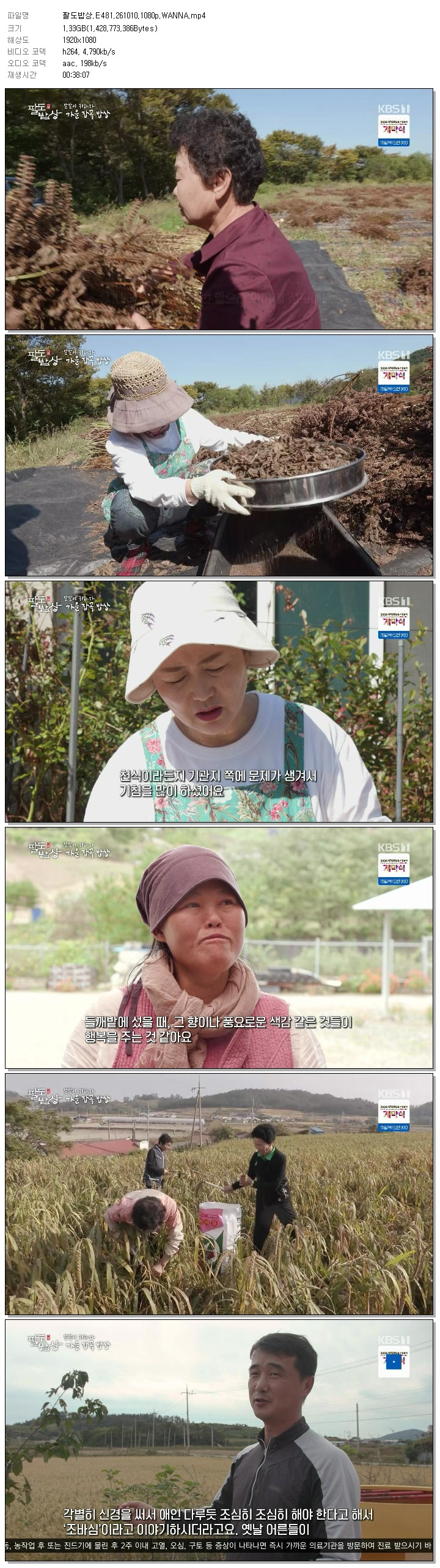 팔도밥상.E481.261010.1080p.WANNA