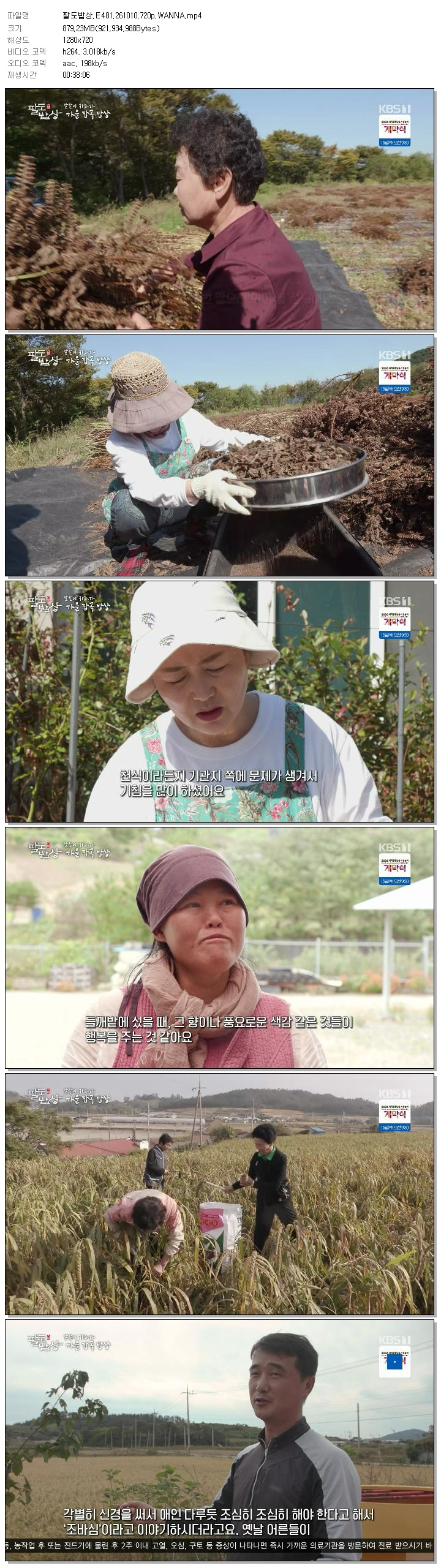 팔도밥상.E481.261010.720p.WANNA