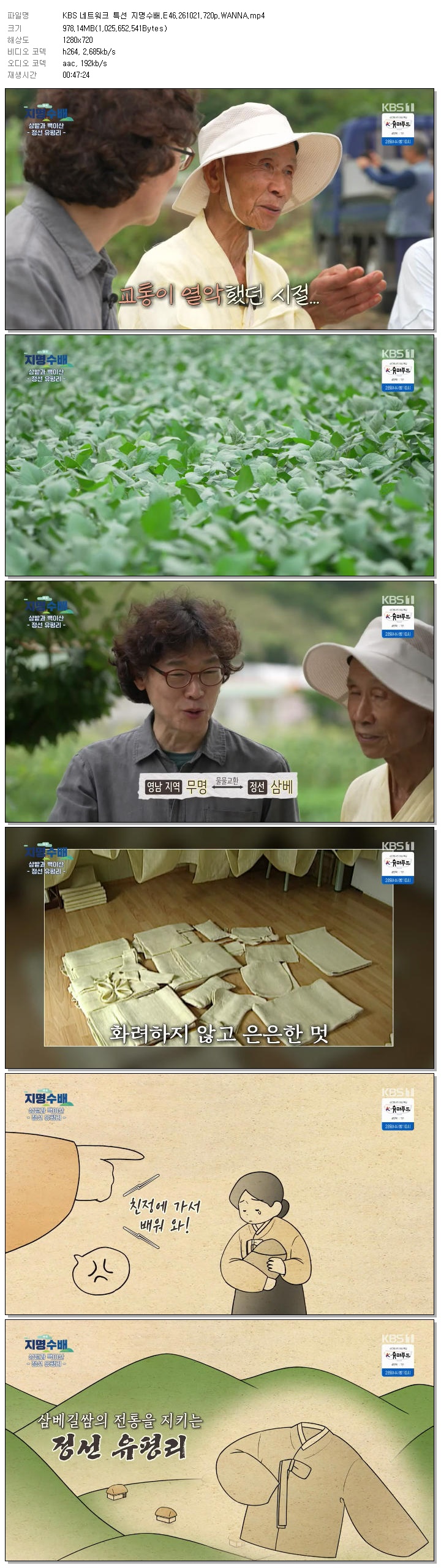 KBS 네트워크 특선 지명수배.E46.261021.720p.WANNA