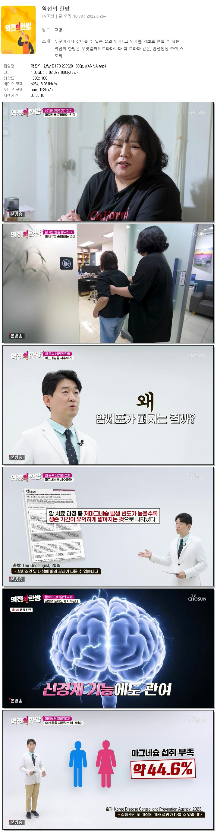 역전의 한방.E173.260928.1080p.WANNA