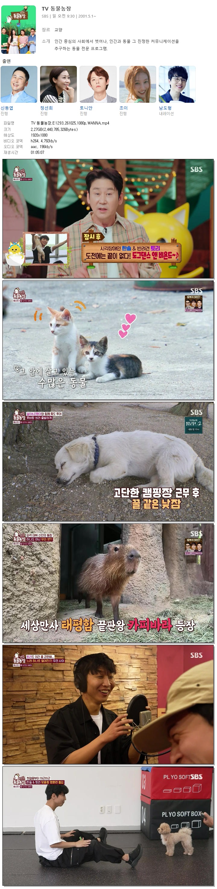 TV 동물농장.E1293.261025.1080p.WANNA