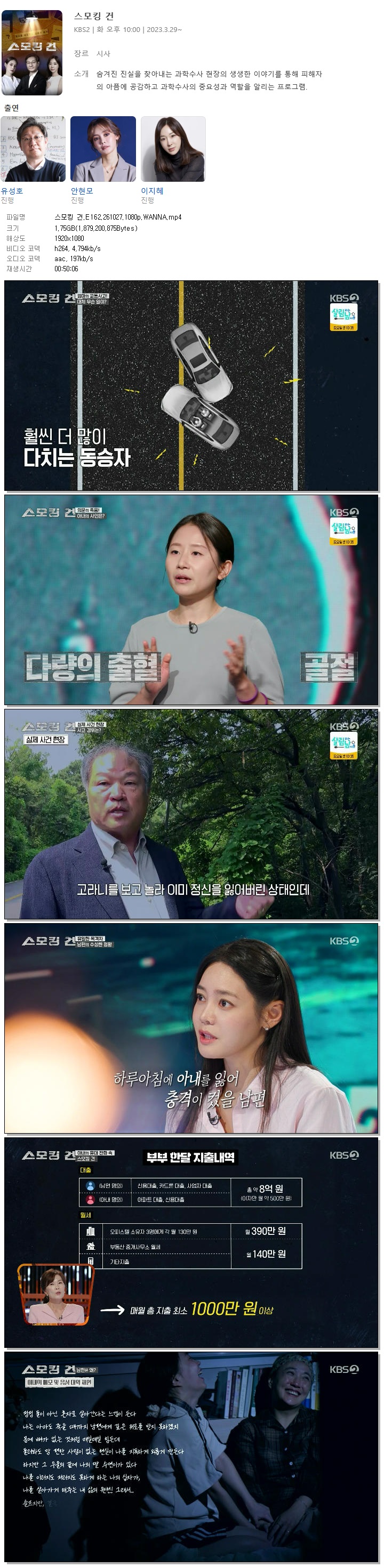 스모킹 건.E162.261027.1080p.WANNA